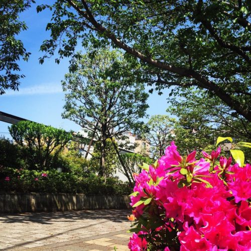 Sunny Day, Change your shoes and go out! at HIMONYA TOKYO JP 81-3-6892-1700 CANALCITY HAKATA FUKUOKA JP 81-92-623-7177